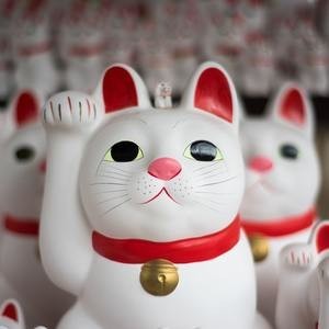 お金に好かれたい そんなあなたにお金に好かれる待ち受けをご紹介 ミラープレス