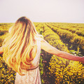 Small 042aa2b0 db8e 43d1 b428 9cce390ee464