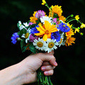 Small 124445a8 e9f0 4793 a458 2a90044255ae