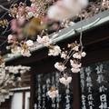 Small 17941184 331f 4ae1 8364 33a8762c74a2