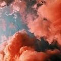 Small 1d225b4e 2ba6 40b2 a380 24375a900643