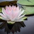 Small 30d1704d ea20 4b60 bd46 9793452160d9