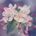 Small 43a3103d 6331 4fb1 afa8 1c8f3cd577fa