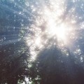 Small 4429f7b4 154f 4013 94f9 20aad2106b53