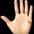 Small 59a85f8e b293 4fba 9501 326485c3b73f