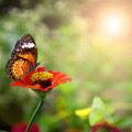 Small 69e1c5e9 329a 49f2 a168 380e44bbf88f