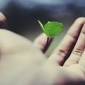 Small 6bc3df9f 97cd 40bc aa7b f164e378352b