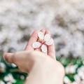 Small a05be7f2 b920 46c9 9894 c055dc7e6513