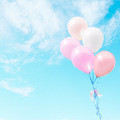 Small a2c15709 6087 490b 8f13 bc11a021652d