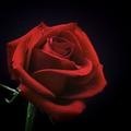 Small c2a5c4c8 be1b 43a1 9243 dae7ce268ade