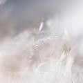 Small cc2046fa 24a5 44ba 9126 4b01781e1d7d