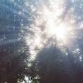 Small f91cd0d4 dec9 407b bc3c 19033522addf